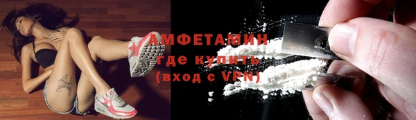 мет Алексин