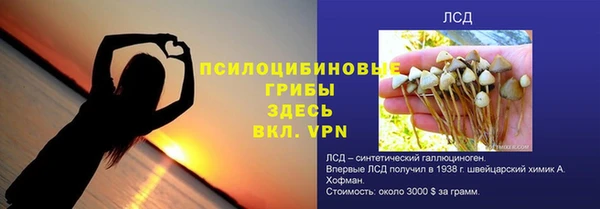 дурь Алзамай