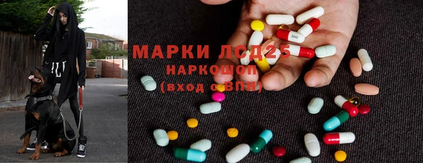 спиды Алексеевка