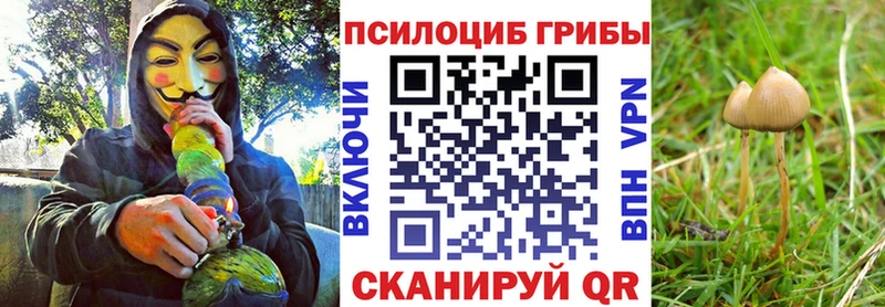 Галлюциногенные грибы MAGIC MUSHROOMS  Дюртюли 
